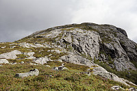 Tollak_20240903_66d768bba6193.jpg