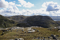 Tollak_20240903_66d768be8bf54.jpg