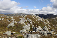Tollak_20240903_66d768bfcc5d2.jpg