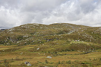 Tollak_20240903_66d768c28d441.jpg