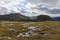Tollak_20240903_66d768c4d1b93.jpg