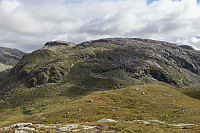 Tollak_20240903_66d768c66036c.jpg