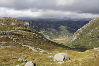 Tollak_20240903_66d768c7b1f31.jpg