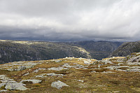 Tollak_20240903_66d768cb7de64.jpg