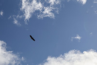 Tollak_20240903_66d768d126e12.jpg