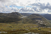 Tollak_20240903_66d768d1bfcd3.jpg