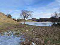 Tollak_20240904_66d88d7de1fb8.jpg