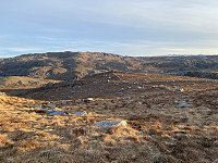 Tollak_20240904_66d88d94daf9a.jpg