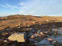 Tollak_20240904_66d88d99bd80f.jpg