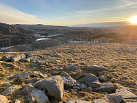 Tollak_20240904_66d88d9dbf407.jpg
