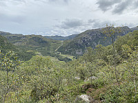 Tollak_20240908_66dd90219a534.jpg