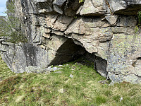 Tollak_20240908_66dd902c4c08c.jpg