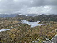 Tollak_20240908_66ddb2399a545.jpg