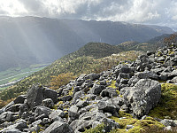 Tollak_20240908_66ddb23ab45af.jpg