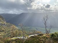 Tollak_20240908_66ddb23d8d506.jpg