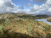 Tollak_20240908_66ddb23fbff97.jpg