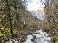 Tollak_20240911_66e1c1f901bc6.jpg