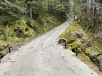 Tollak_20240911_66e1c1fb4bb18.jpg