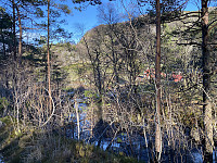 Tollak_20240911_66e1c1fd6db68.jpg