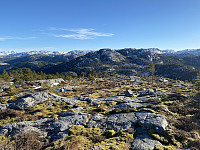Tollak_20240911_66e1c20786940.jpg