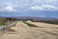 Tollak_20240911_66e1c9cbe0172.jpg