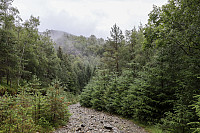 Tollak_20240911_66e1d34805cc1.jpg