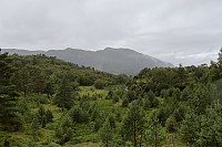 Tollak_20240911_66e1d34abdf84.jpg