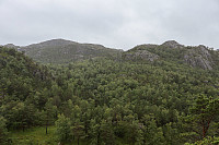 Tollak_20240911_66e1d34bc0a75.jpg