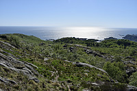 Tollak_20240911_66e1d8fb49f61.jpg