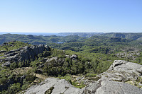 Tollak_20240911_66e1d8fd5a7c2.jpg