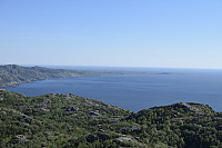 Tollak_20240911_66e1d9004c48e.jpg