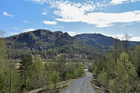 Tollak_20240912_66e31164b6a01.jpg