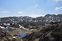 Tollak_20240912_66e31169e3c18.jpg