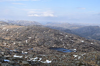 Tollak_20240912_66e311738ef00.jpg