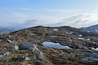 Tollak_20240912_66e3117694505.jpg