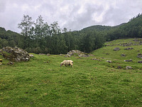 Tollak_20240914_66e5d230a65b0.jpg