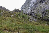 Tollak_20240919_66ec34b1983cf.jpg