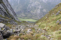 Tollak_20240919_66ec34b275df4.jpg