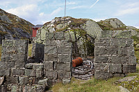 Tollak_20240919_66ec34b4342d9.jpg