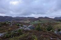 Tollak_20241007_6704083c4f2ef.jpg