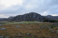 Tollak_20241007_6704083e0482a.jpg