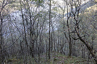 Tollak_20241007_67040ec1c72b4.jpg