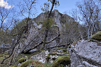Tollak_20241007_67040ed0b154b.jpg