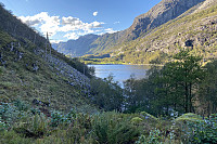 Tollak_20241007_67040ed186063.jpg