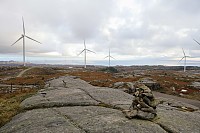 Tollak_20241010_6707ebf93db2a.jpg