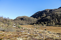 Tollak_20241010_6707f468314ee.jpg