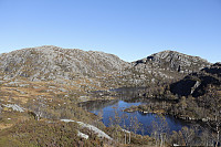 Tollak_20241010_6707f46963730.jpg