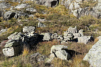 Tollak_20241010_6707f46a076a6.jpg