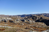 Tollak_20241010_6707f46b4ef9c.jpg
