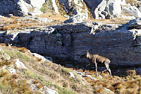 Tollak_20241010_6707f46bdc252.jpg